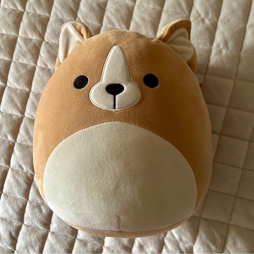 Squishmallows Chauncey the Chihuahua 12”